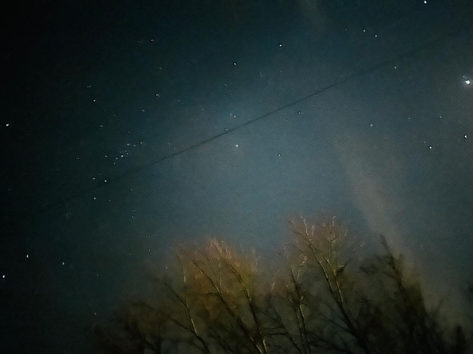 Photograph of a dark winter blue sky wit moonlight shining onto trees below