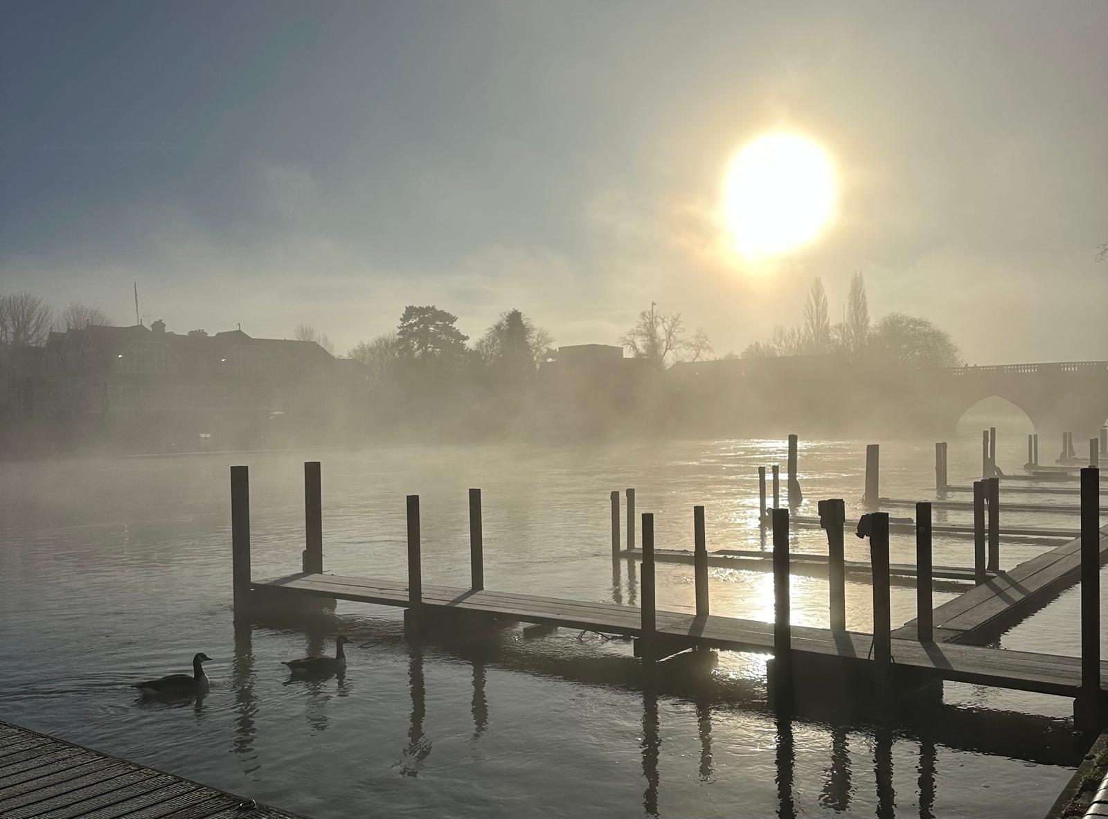 Image of a jetty with the rising sun glistening over the water and city on the other side representing peaceful return to land when life feels tangled